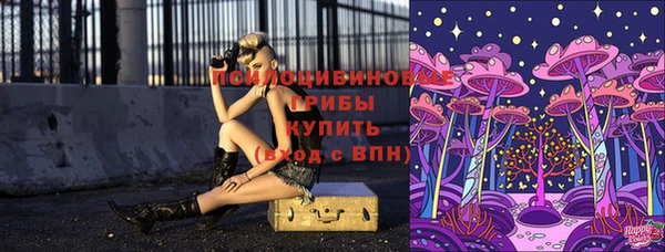 стафф Абинск