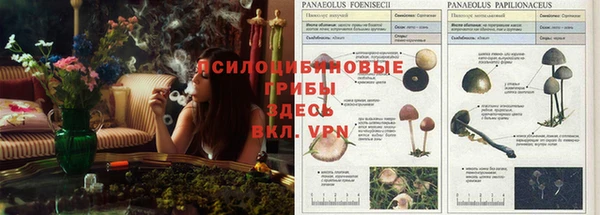 соль курить ск Абдулино
